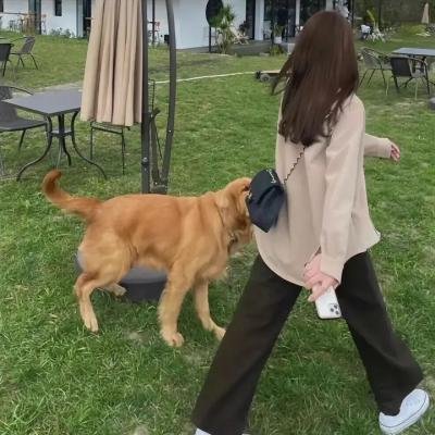 叛逆无罪